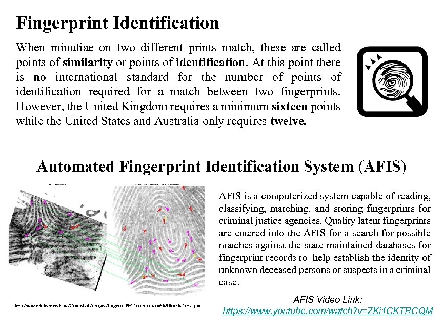 Fingerprint Identification When minutiae on two different prints match, these are called points of