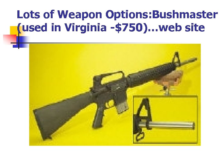 Lots of Weapon Options: Bushmaster (used in Virginia -$750)…web site 