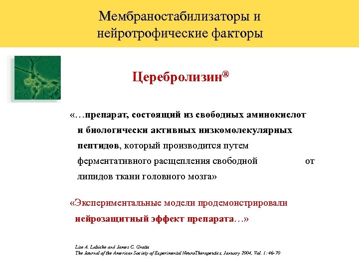 Мембраностабилизаторы и нейротрофические факторы Церебролизин® «…препарат, состоящий из свободных аминокислот и биологически активных низкомолекулярных