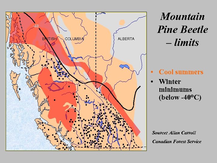 -40 BRITISH COLUMBIA ALBERTA Mountain Pine Beetle – limits • Cool summers • Winter
