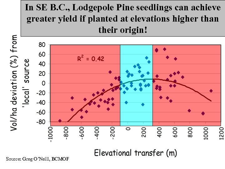 In SE B. C. , Lodgepole Pine seedlings can achieve greater yield if planted