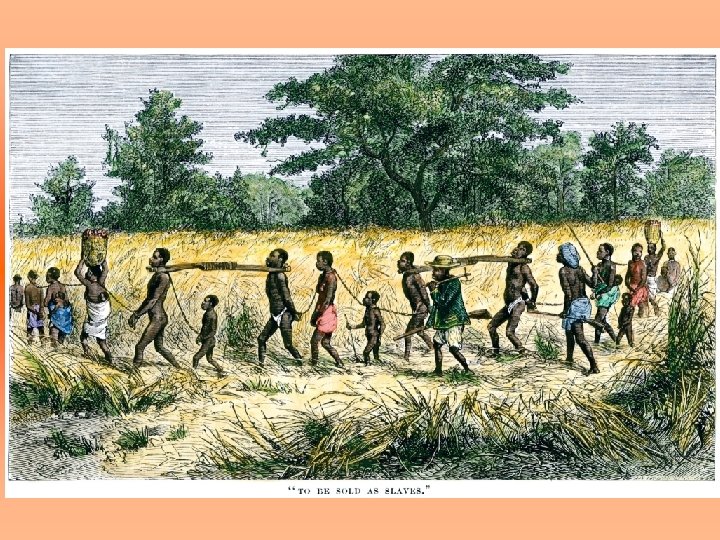 North Wind Picture Archives 