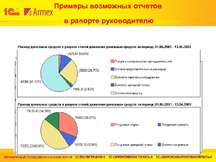 Примеры возможных отчетов в рапорте руководителю 
