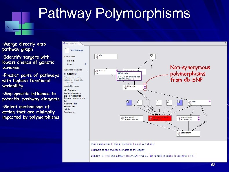 Pathway Polymorphisms • Merge directly onto pathway graph • Identify targets with lowest chance