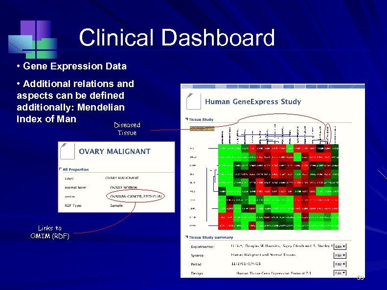 Clinical Dashboard • Gene Expression Data • Additional relations and aspects can be defined