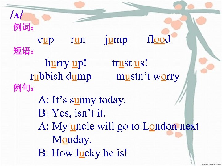 /ʌ/ 例词： cup run jump flood 短语： hurry up! rubbish dump trust us! mustn’t