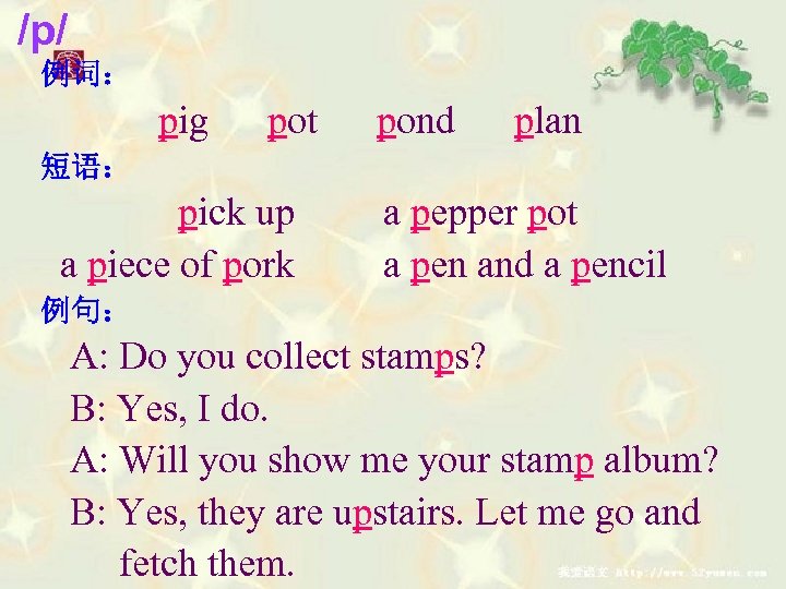 /p/ 例词： pig pot pond plan 短语： pick up a piece of pork a