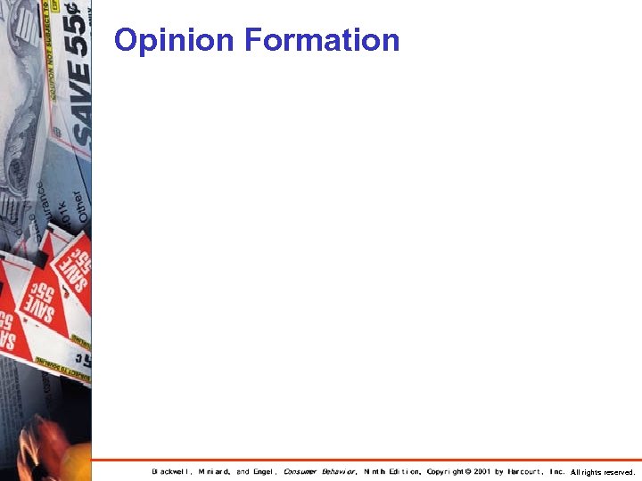 Opinion Formation All rights reserved. 