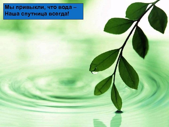 Мы привыкли, что вода – Наша спутница всегда! 