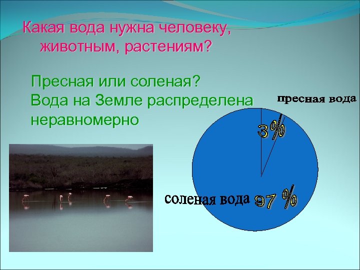 Какая вода нужна человеку, животным, растениям? Пресная или соленая? Вода на Земле распределена неравномерно