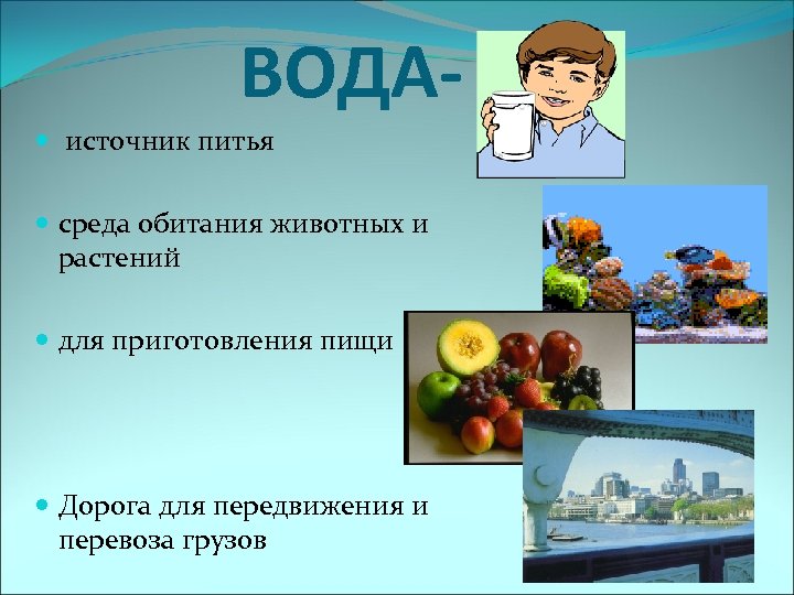  ВОДА- … источник питья среда обитания животных и растений для приготовления пищи Дорога