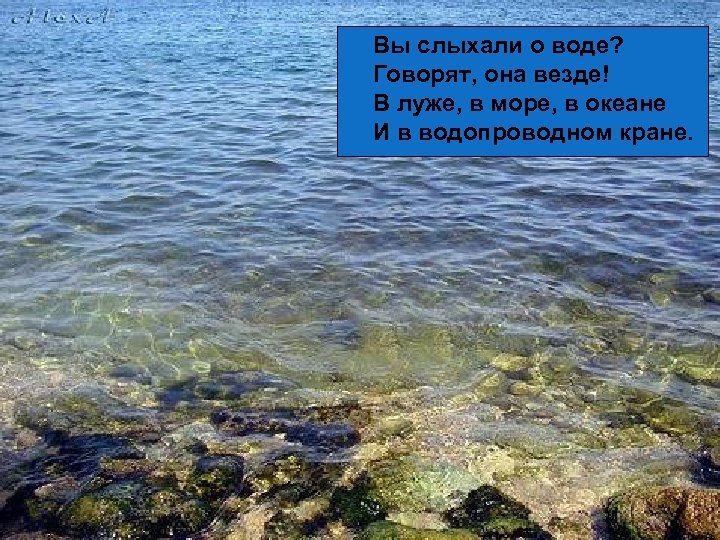 Вы слыхали о воде? Говорят, она везде! В луже, в море, в океане И