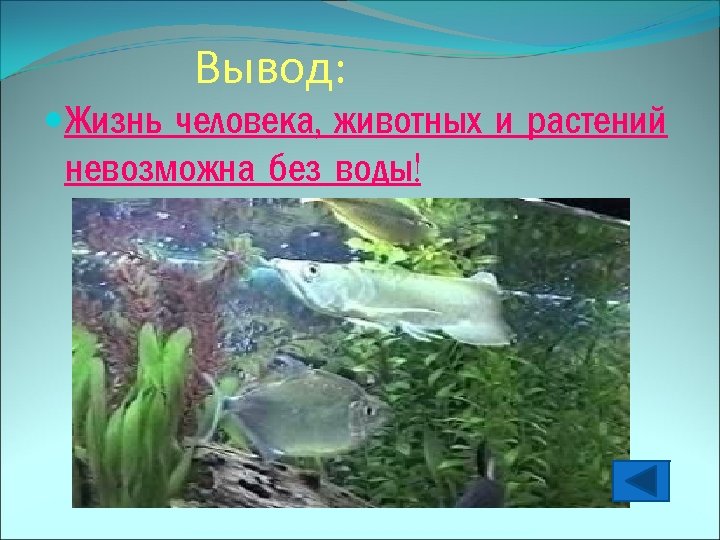  Вывод: Жизнь человека, животных и растений невозможна без воды! 