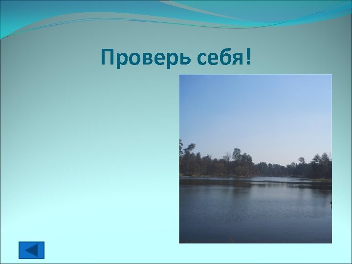 Проверь себя! 