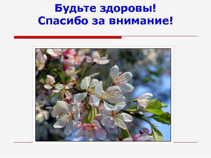 Будьте здоровы! Спасибо за внимание! 