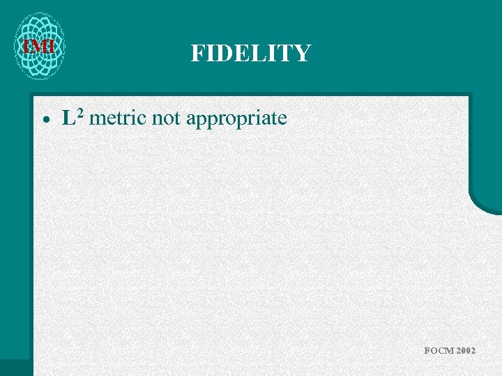 IMI · FIDELITY L 2 metric not appropriate FOCM 2002 