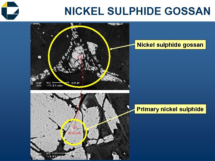 NICKEL SULPHIDE GOSSAN Nickel sulphide gossan Primary nickel sulphide 