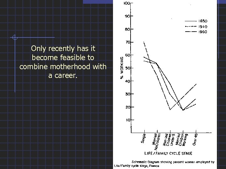 Only recently has it become feasible to combine motherhood with a career. 