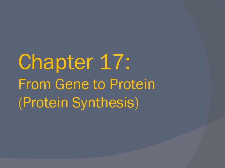 Chapter 17: From Gene to Protein (Protein Synthesis) 