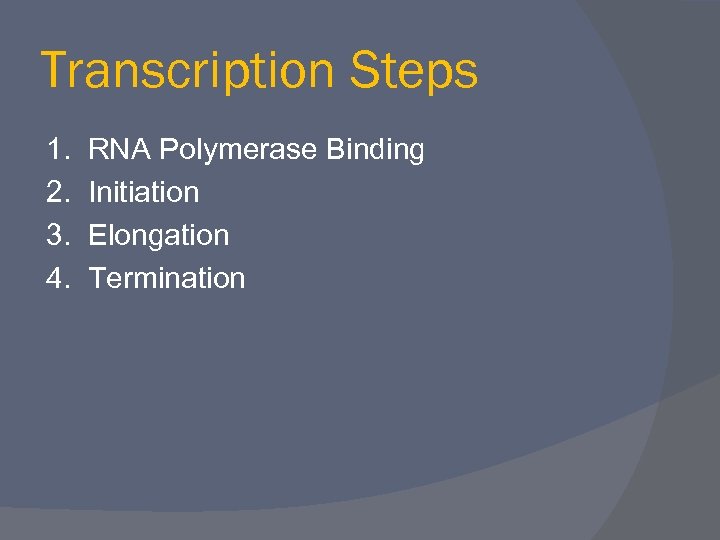 Transcription Steps 1. 2. 3. 4. RNA Polymerase Binding Initiation Elongation Termination 