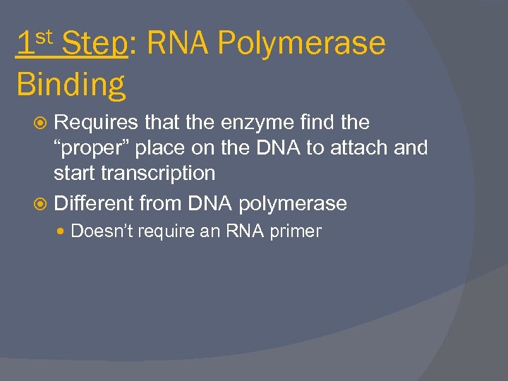 st 1 Step: RNA Polymerase Binding Requires that the enzyme find the “proper” place