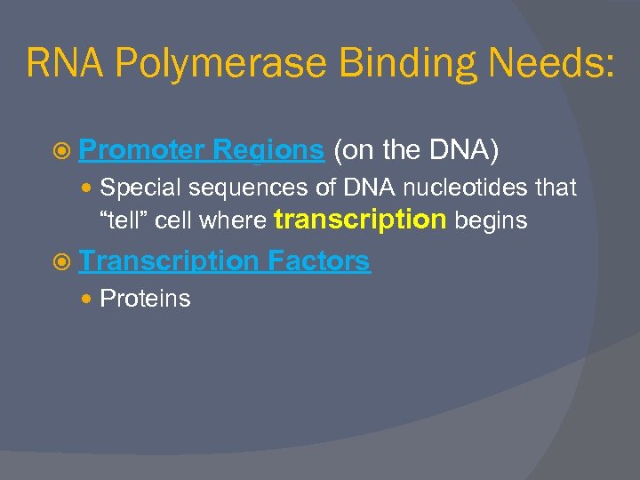 RNA Polymerase Binding Needs: Promoter Regions (on the DNA) Special sequences of DNA nucleotides