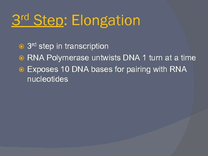 rd 3 Step: Elongation 3 rd step in transcription RNA Polymerase untwists DNA 1