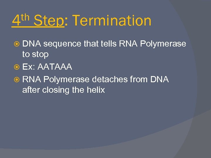 th 4 Step: Termination DNA sequence that tells RNA Polymerase to stop Ex: AATAAA