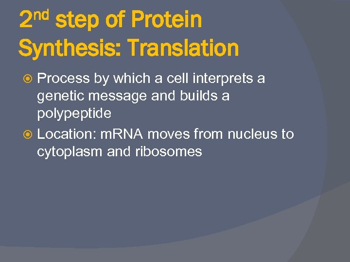 2 nd step of Protein Synthesis: Translation Process by which a cell interprets a