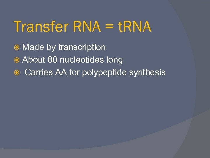 Transfer RNA = t. RNA Made by transcription About 80 nucleotides long Carries AA