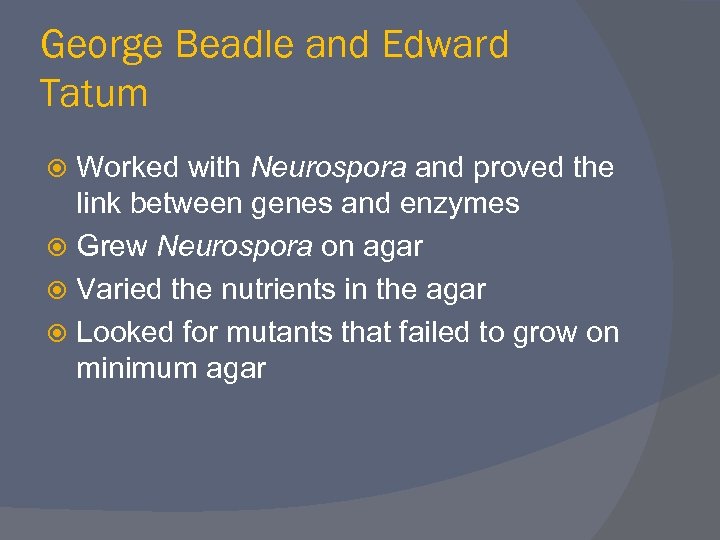 George Beadle and Edward Tatum Worked with Neurospora and proved the link between genes