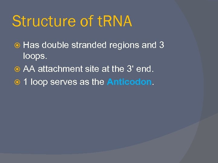 Structure of t. RNA Has double stranded regions and 3 loops. AA attachment site