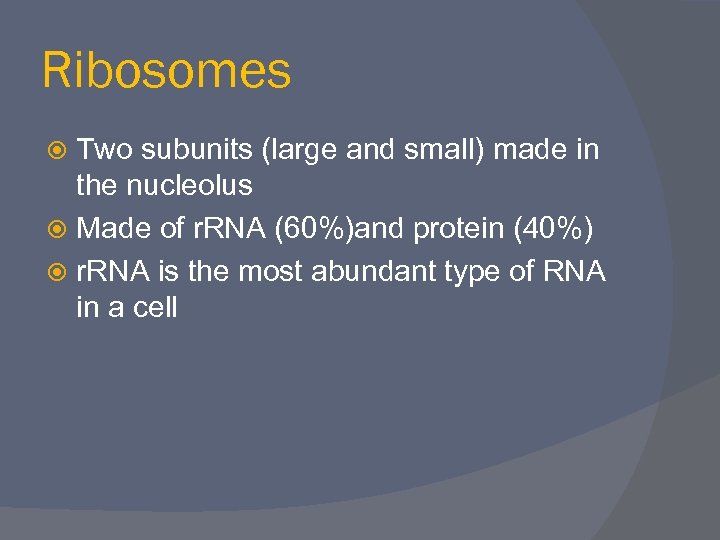 Ribosomes Two subunits (large and small) made in the nucleolus Made of r. RNA