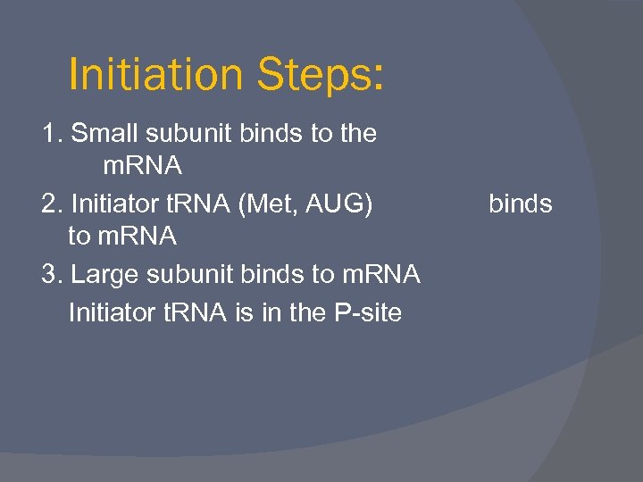 Initiation Steps: 1. Small subunit binds to the m. RNA 2. Initiator t. RNA