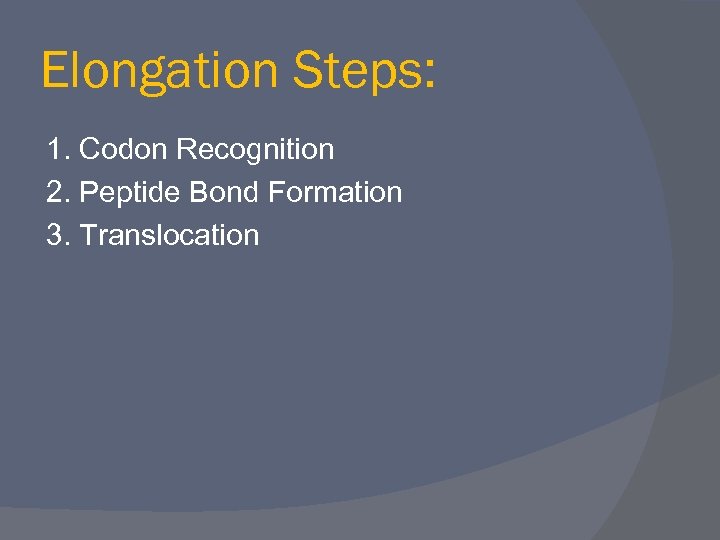 Elongation Steps: 1. Codon Recognition 2. Peptide Bond Formation 3. Translocation 