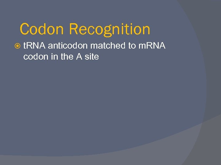 Codon Recognition t. RNA anticodon matched to m. RNA codon in the A site