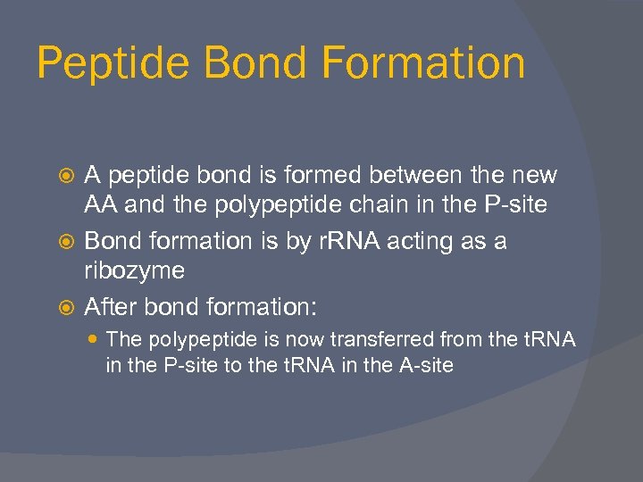 Peptide Bond Formation A peptide bond is formed between the new AA and the