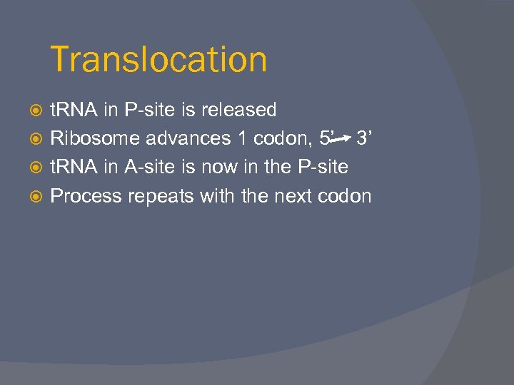 Translocation t. RNA in P-site is released Ribosome advances 1 codon, 5’ 3’ t.