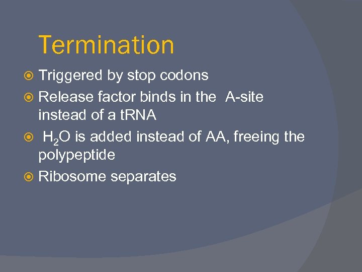 Termination Triggered by stop codons Release factor binds in the A-site instead of a