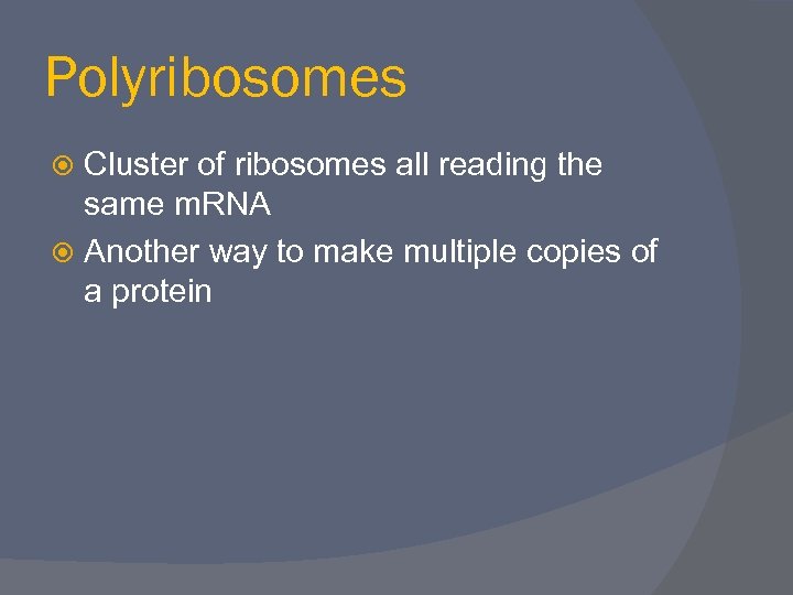 Polyribosomes Cluster of ribosomes all reading the same m. RNA Another way to make