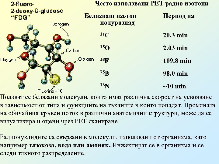 Често използвани PET радио изотопи Белязващ изотоп полуразпад Период на 11 C 20. 3