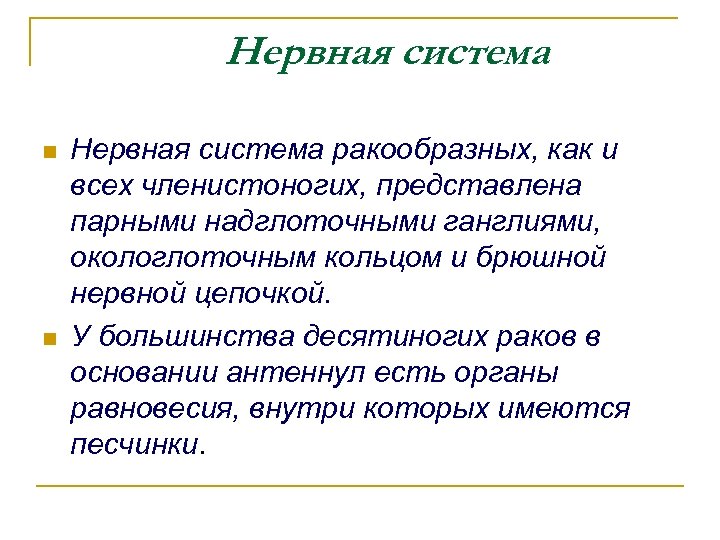 Нервная система n n Нервная система ракообразных, как и всех членистоногих, представлена парными надглоточными