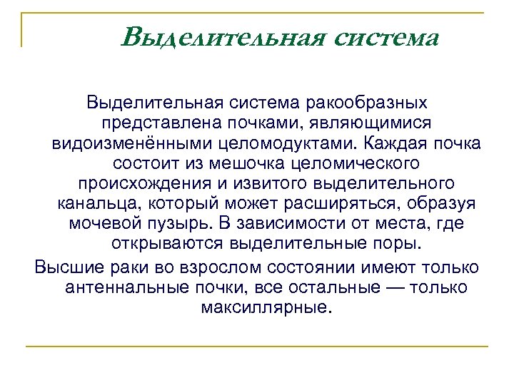 Выделительная система ракообразных представлена почками, являющимися видоизменёнными целомодуктами. Каждая почка состоит из мешочка целомического