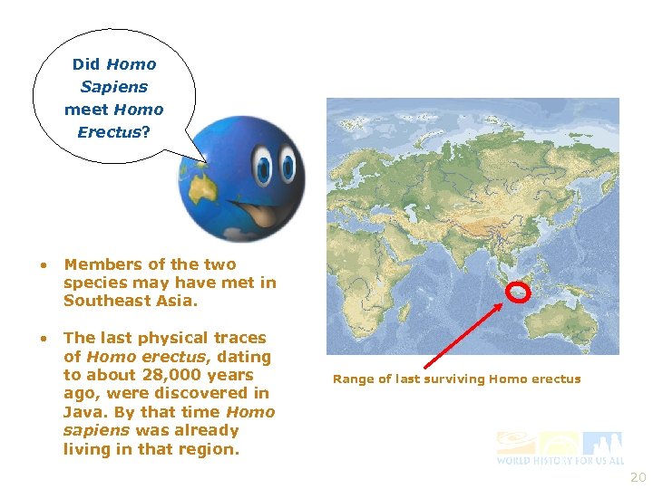 Did Homo Sapiens meet Homo Erectus? • Members of the two species may have