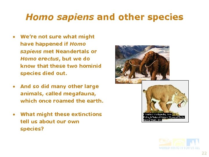 Homo sapiens and other species • We’re not sure what might have happened if