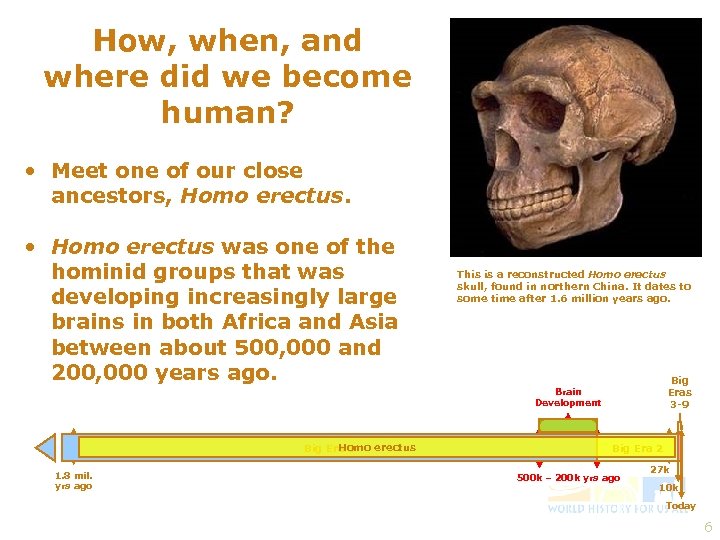 How, when, and where did we become human? • Meet one of our close