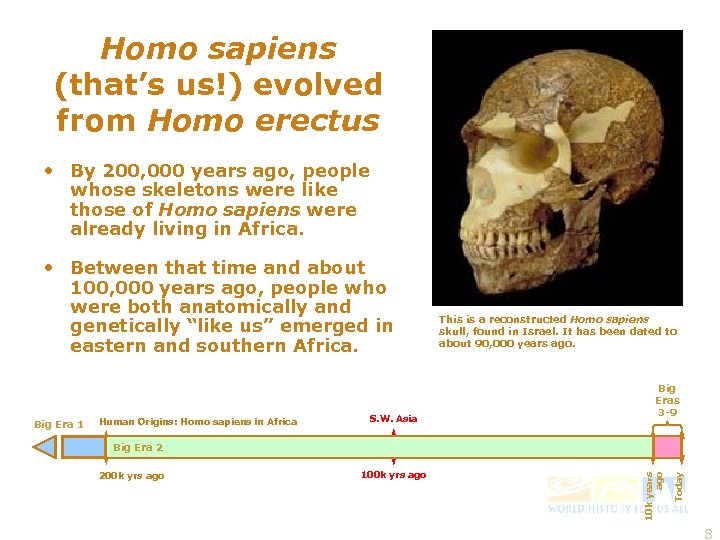 Homo sapiens (that’s us!) evolved from Homo erectus • By 200, 000 years ago,