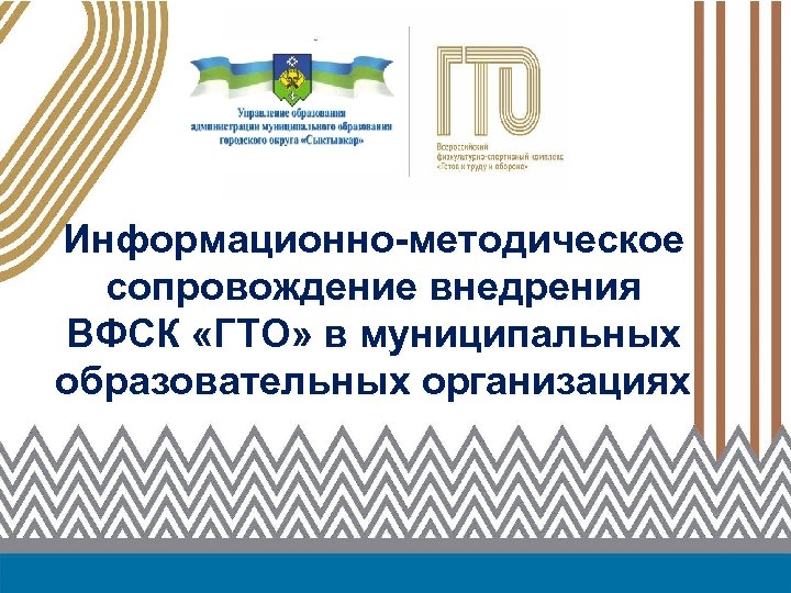 Информационно-методическое сопровождение внедрения ВФСК «ГТО» в муниципальных образовательных организациях 