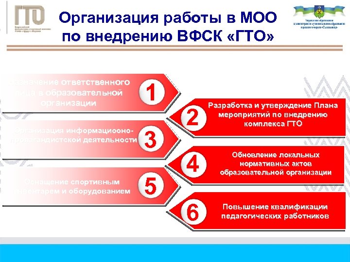 Организация работы в МОО по внедрению ВФСК «ГТО» Назначение ответственного лица в образовательной организации