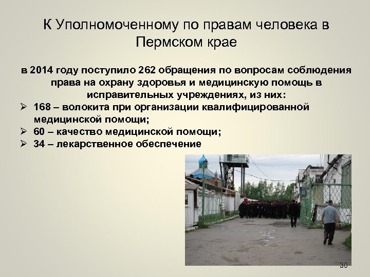 К Уполномоченному по правам человека в Пермском крае в 2014 году поступило 262 обращения